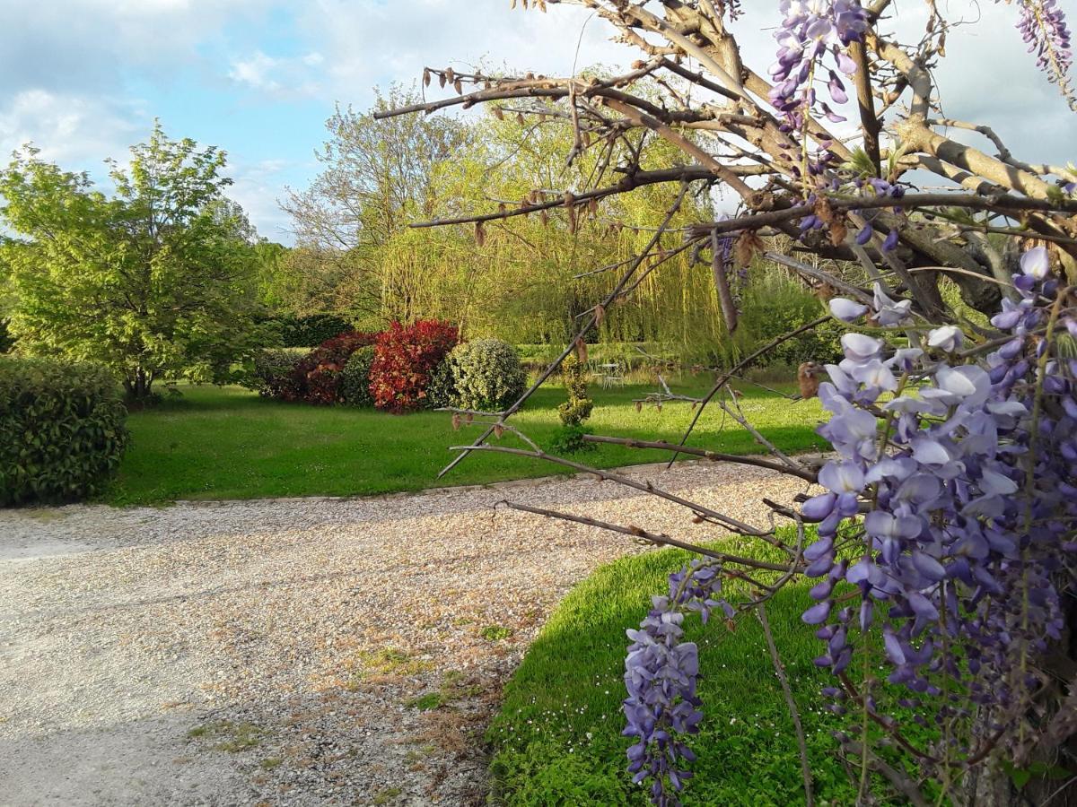 La Belviniere Chambres Et Table D'Hotes Tour-en-Sologne Dış mekan fotoğraf